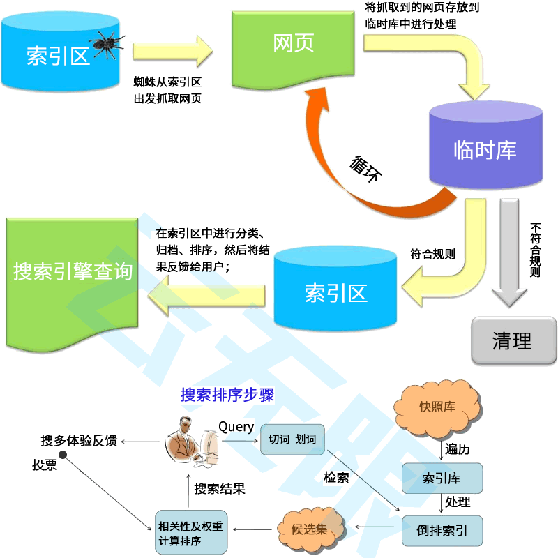 红姐SEO